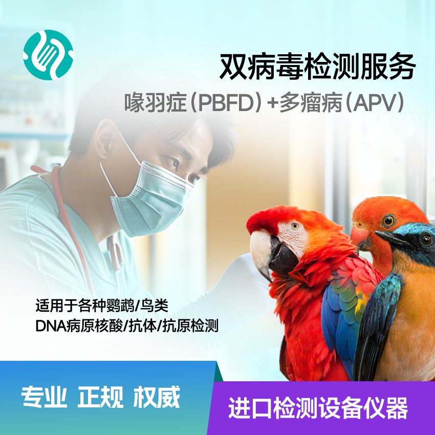 双病毒（喙羽症 PBFD + 多瘤病毒 APV）检测套餐