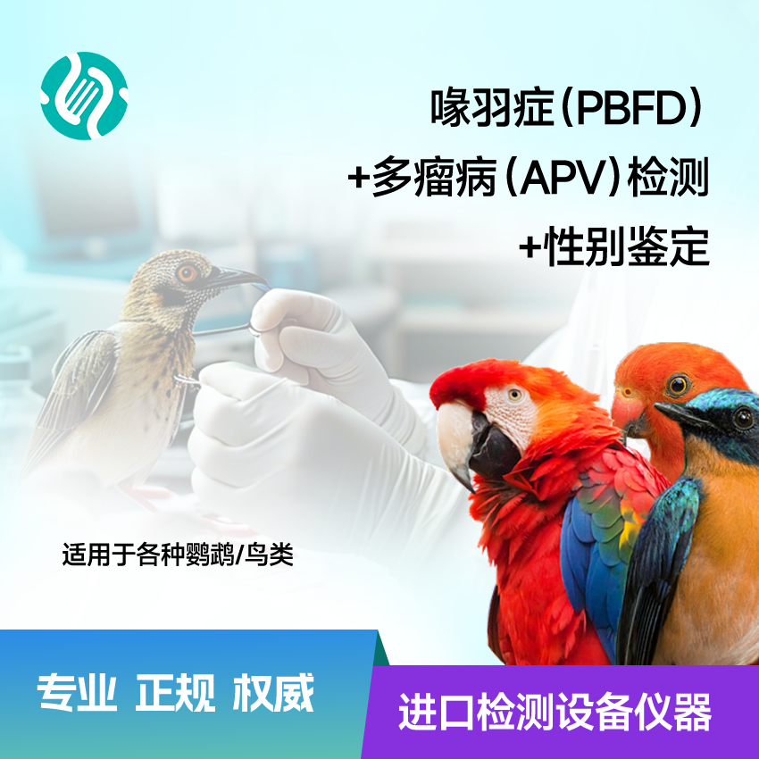 双病毒+公母鉴定（喙羽症 PBFD + 多瘤病毒 APV+性别鉴定）检测套餐